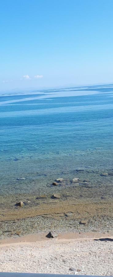 Albatross Seafront House Apartman Naxos City Kültér fotó